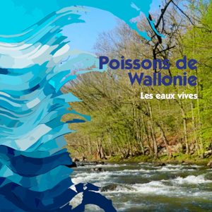 Poissons de Wallonie. Les eaux vives [2023] (numérique)