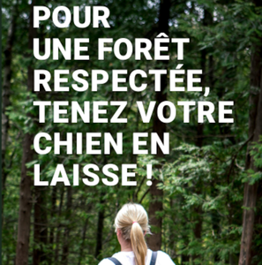 Pour une forêt respectée, tenez votre chien en laisse ! [2024] (papier)