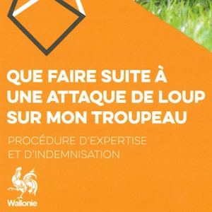 Que faire suite à une attaque de loup sur mon troupeau [2023] (papier)