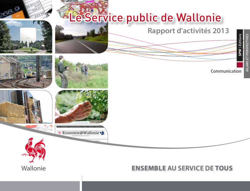 Rapport d'activités du Service Public de Wallonie [2013] (numérique)