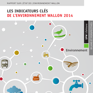 Rapport sur l’état de l'environnement wallon - Les indicateurs clés de l'environnement wallon 2014 (numérique)