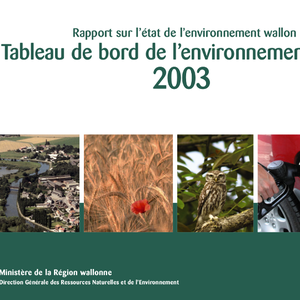 Rapport sur l’état de l'environnement wallon - Tableau de bord de l'environnement wallon 2003 (numérique)
