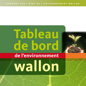 Rapport sur l’état de l'environnement wallon - Tableau de bord de l'environnement wallon 2008 (numérique)