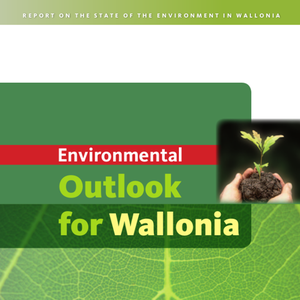 State of Environment Report - Environmental Outlook for Wallonia – Digest 2008 (numérique)