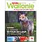 Vivre la Wallonie № 35 (Printemps 2017). Le grand retour du loup en Wallonie ? (papier - numérique)