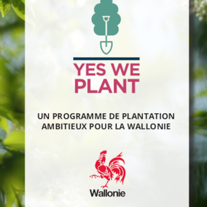 Yes we Plant. Un programme de plantation ambitieux pour la Wallonie [2023] (numérique)
