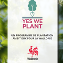 Yes we Plant. Un programme de plantation ambitieux pour la Wallonie [2023] (papier)