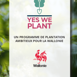 Yes we Plant. Un programme de plantation ambitieux pour la Wallonie [2023] (papier)