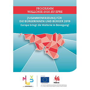 Zusammenfassung Fur Die Burgerinnen Und Burger 2019 Europa Bringt Die Wallonie In Bewegung Programm Wallonie 2020 Eu Efre Numerique Ediwall